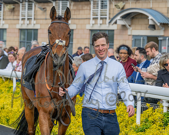 Race 2 - The Pertemps Network Intermediate- (12 of 91)