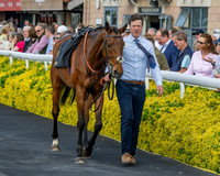 Race 2 - The Pertemps Network Intermediate- (11 of 91)
