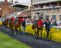 Race 2 - The Pertemps Network Intermediate- (15 of 91)