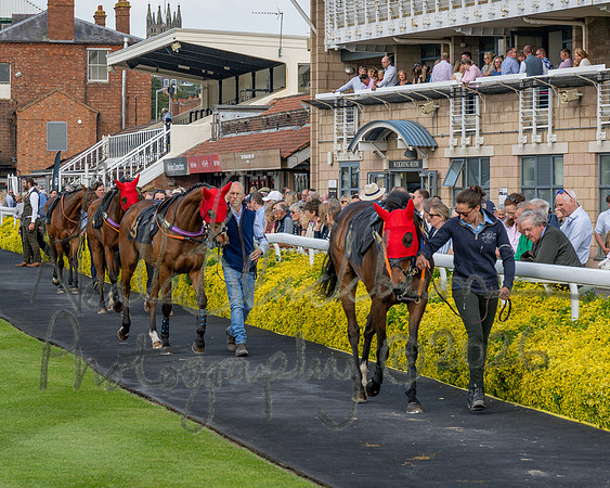 Race 2 - The Pertemps Network Intermediate- (15 of 91)