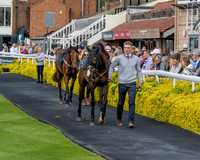 Race 2 - The Pertemps Network Intermediate- (17 of 91)