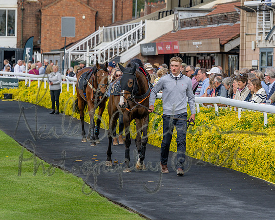 Race 2 - The Pertemps Network Intermediate- (17 of 91)
