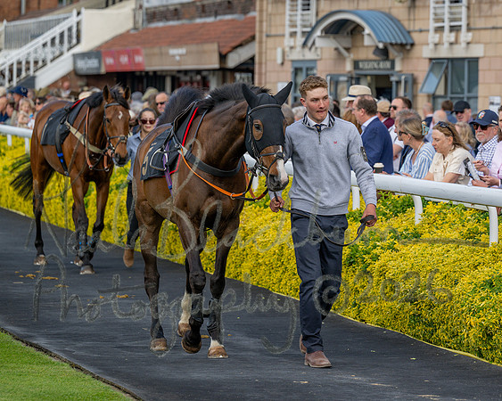 Race 2 - The Pertemps Network Intermediate- (18 of 91)