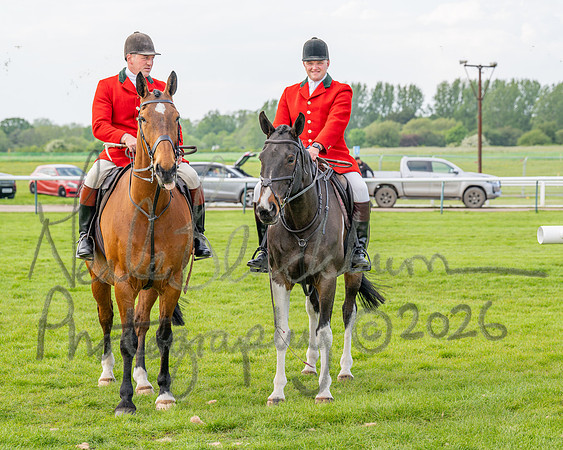 Race 2 - The Pertemps Network Intermediate- (21 of 91)