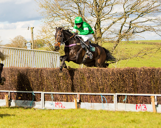 Race 5 - Restricted  (45 of 118)