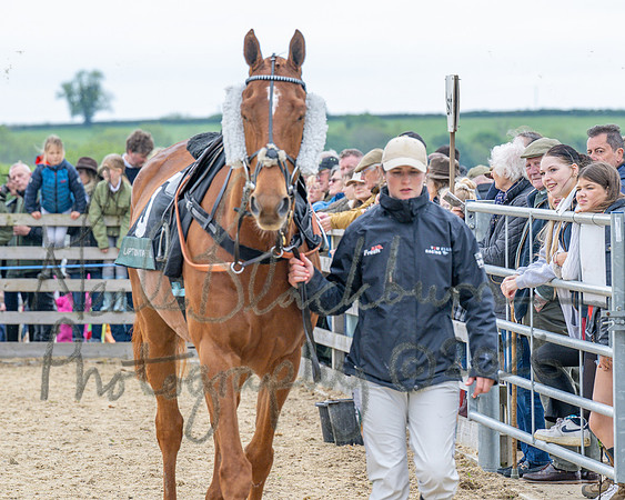 Race 1 - Adjacent hunts (17 of 143)