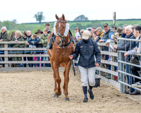 Race 1 - Adjacent hunts (16 of 143)