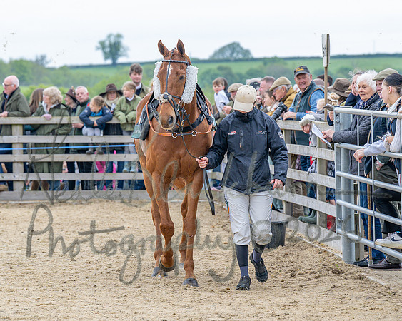 Race 1 - Adjacent hunts (16 of 143)