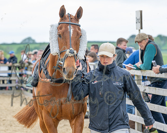 Race 1 - Adjacent hunts (20 of 143)