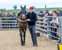 Race 1 - Adjacent hunts (21 of 143)