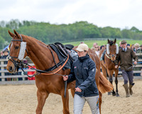 Race 1 - Adjacent hunts (25 of 143)