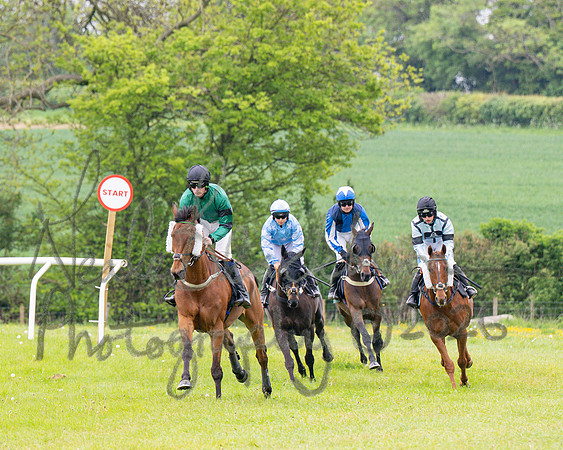 Race 1 - Adjacent hunts (34 of 143)