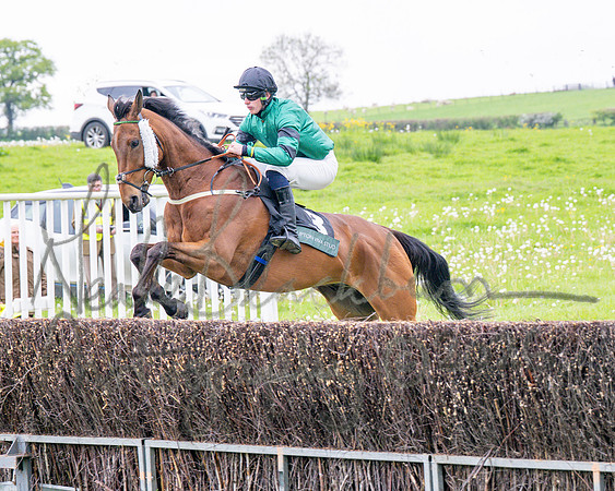 Race 1 - Adjacent hunts (37 of 143)