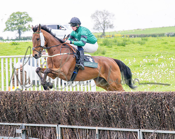 Race 1 - Adjacent hunts (38 of 143)