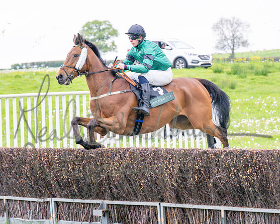 Race 1 - Adjacent hunts (40 of 143)