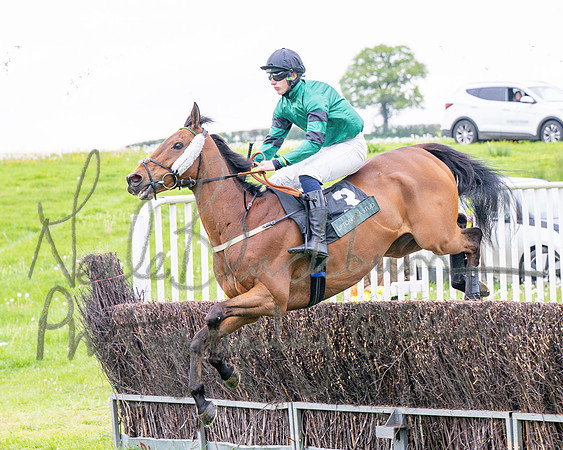 Race 1 - Adjacent hunts (43 of 143)