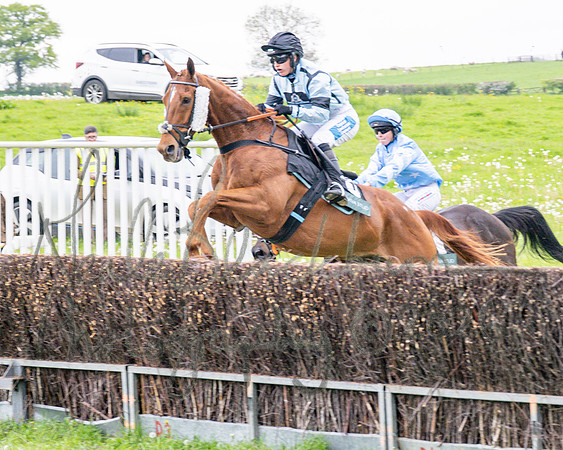 Race 1 - Adjacent hunts (45 of 143)