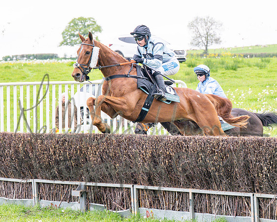 Race 1 - Adjacent hunts (47 of 143)