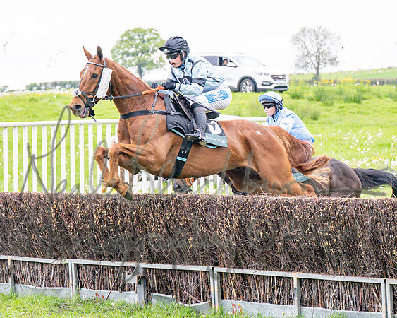 Race 1 - Adjacent hunts (48 of 143)