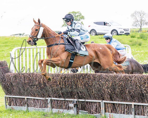 Race 1 - Adjacent hunts (49 of 143)