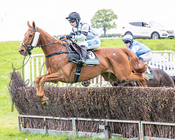 Race 1 - Adjacent hunts (50 of 143)