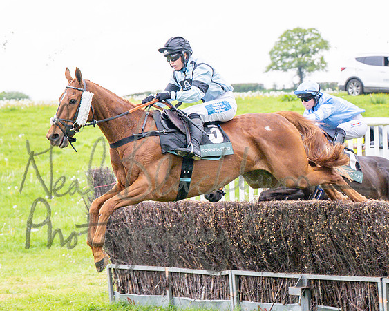 Race 1 - Adjacent hunts (51 of 143)