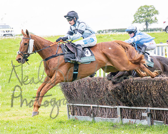 Race 1 - Adjacent hunts (52 of 143)