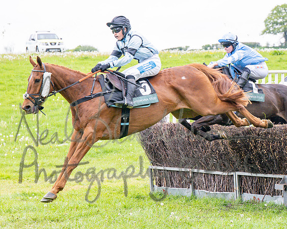 Race 1 - Adjacent hunts (53 of 143)