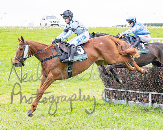 Race 1 - Adjacent hunts (54 of 143)