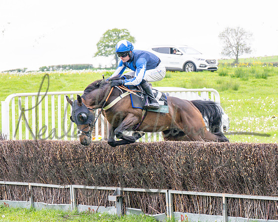 Race 1 - Adjacent hunts (55 of 143)