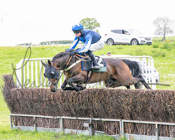 Race 1 - Adjacent hunts (56 of 143)