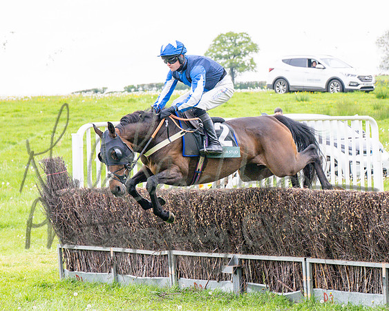 Race 1 - Adjacent hunts (57 of 143)