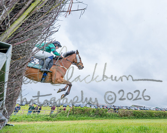 Race 1 - Adjacent hunts (61 of 143)