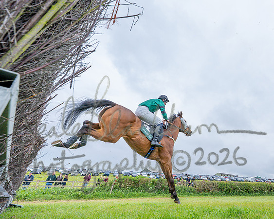 Race 1 - Adjacent hunts (63 of 143)