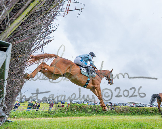 Race 1 - Adjacent hunts (65 of 143)