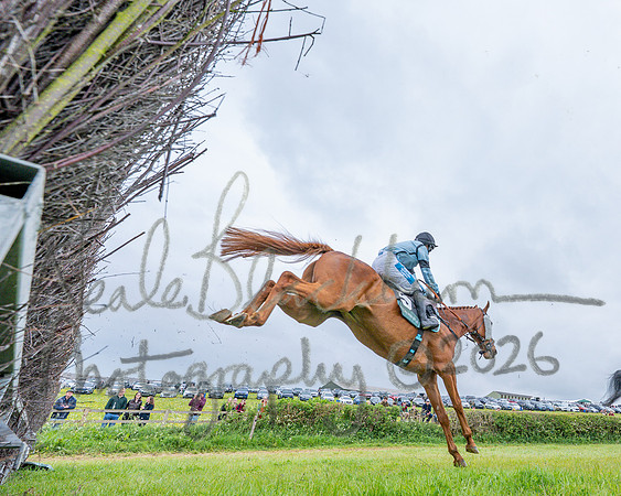 Race 1 - Adjacent hunts (66 of 143)