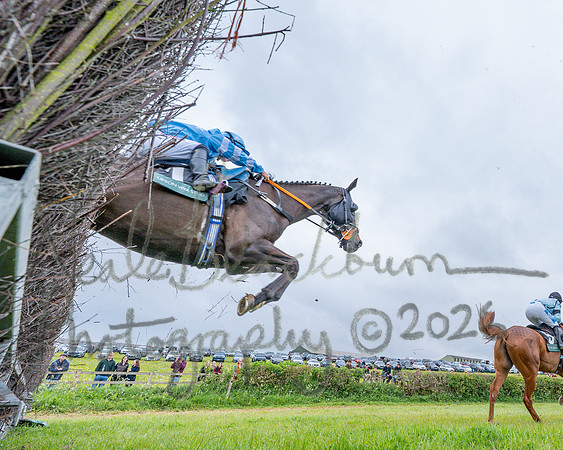 Race 1 - Adjacent hunts (67 of 143)
