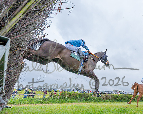 Race 1 - Adjacent hunts (68 of 143)