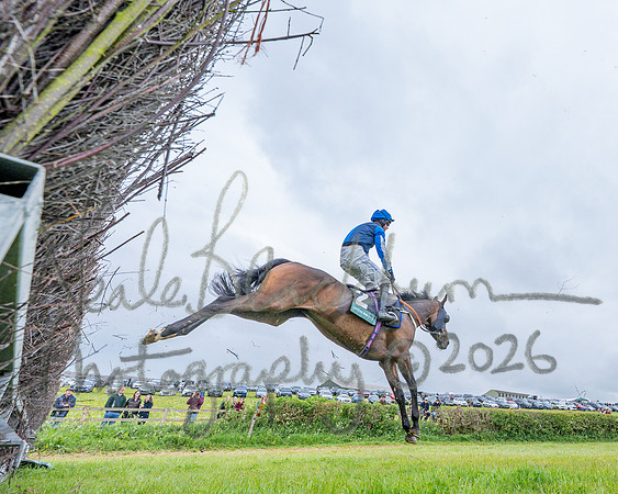Race 1 - Adjacent hunts (72 of 143)