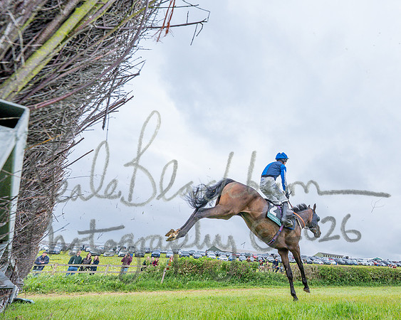 Race 1 - Adjacent hunts (73 of 143)