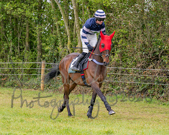 Race 2 - Conditions 2 miles 4 Furlongs (3 of 112)