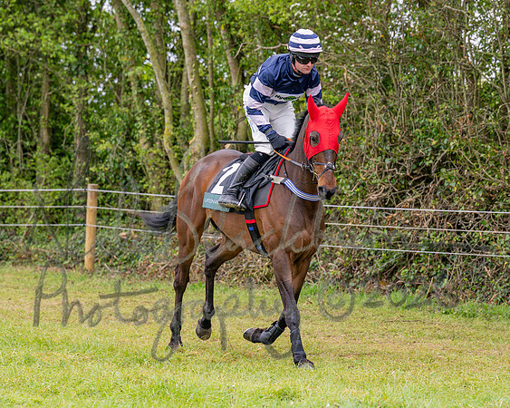 Race 2 - Conditions 2 miles 4 Furlongs (4 of 112)