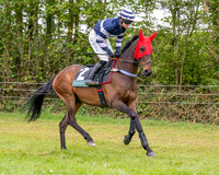 Race 2 - Conditions 2 miles 4 Furlongs (5 of 112)