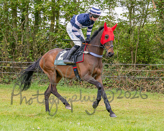 Race 2 - Conditions 2 miles 4 Furlongs (5 of 112)