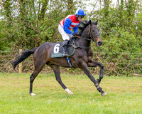 Race 2 - Conditions 2 miles 4 Furlongs (6 of 112)