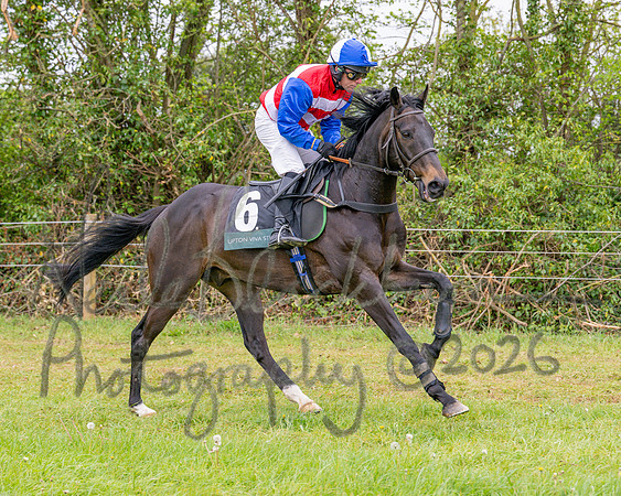 Race 2 - Conditions 2 miles 4 Furlongs (6 of 112)