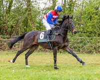 Race 2 - Conditions 2 miles 4 Furlongs (7 of 112)