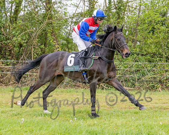 Race 2 - Conditions 2 miles 4 Furlongs (7 of 112)