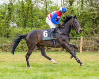 Race 2 - Conditions 2 miles 4 Furlongs (8 of 112)