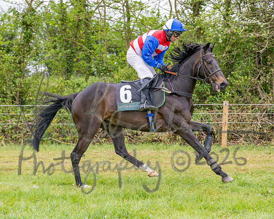 Race 2 - Conditions 2 miles 4 Furlongs (8 of 112)